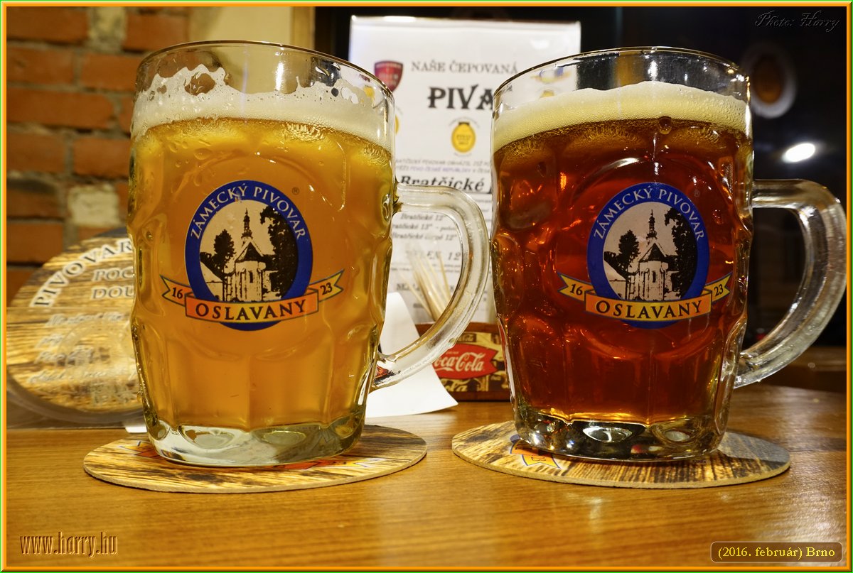 (2016.februar)Brno-132.jpg