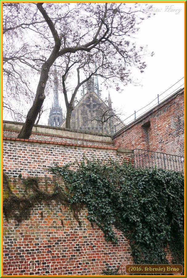 (2016.februar)Brno-134.jpg