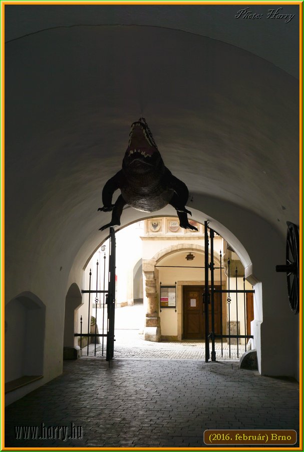 (2016.februar)Brno-168.jpg