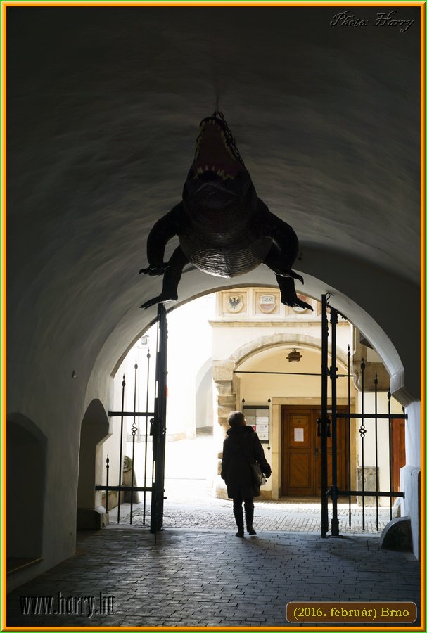 (2016.februar)Brno-169.jpg