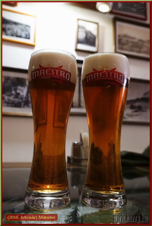 (2016.februar)Mikulov-015.jpg