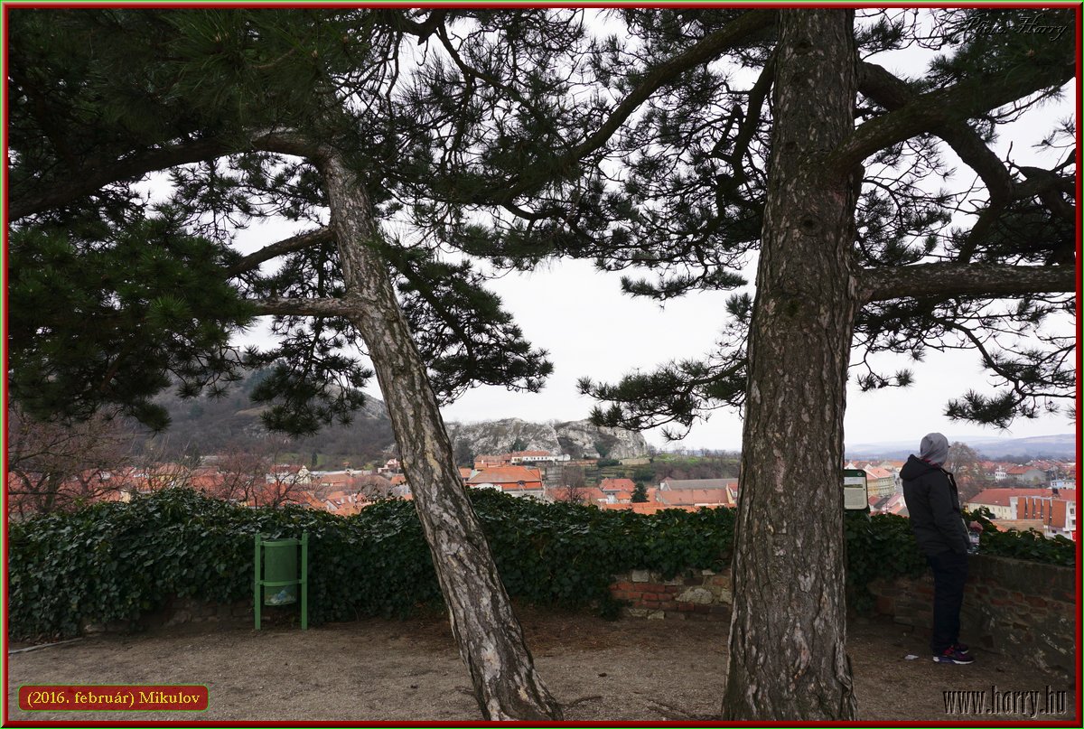 (2016.februar)Mikulov-026.jpg