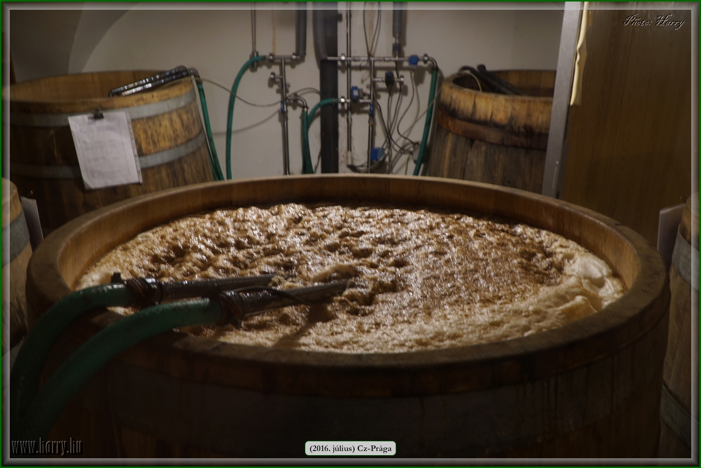 (2016.julius)Praga-301.jpg
