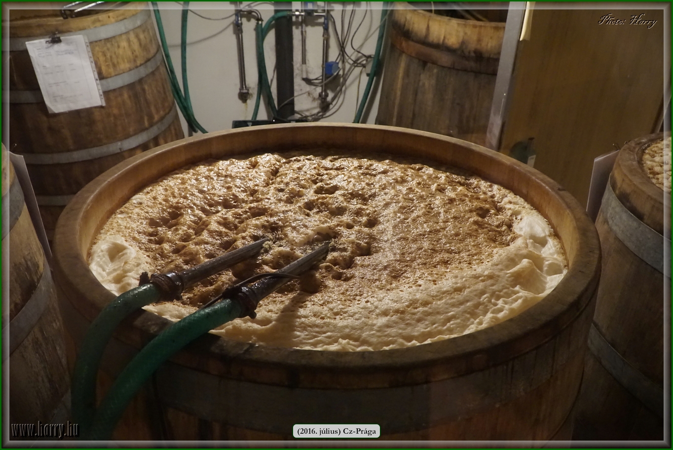 (2016.julius)Praga-302.jpg