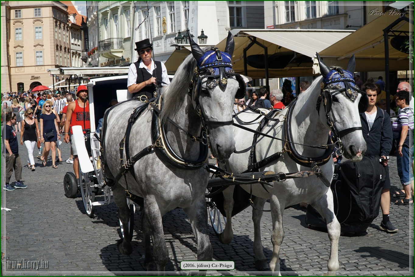 (2016.julius)Praga-335.jpg