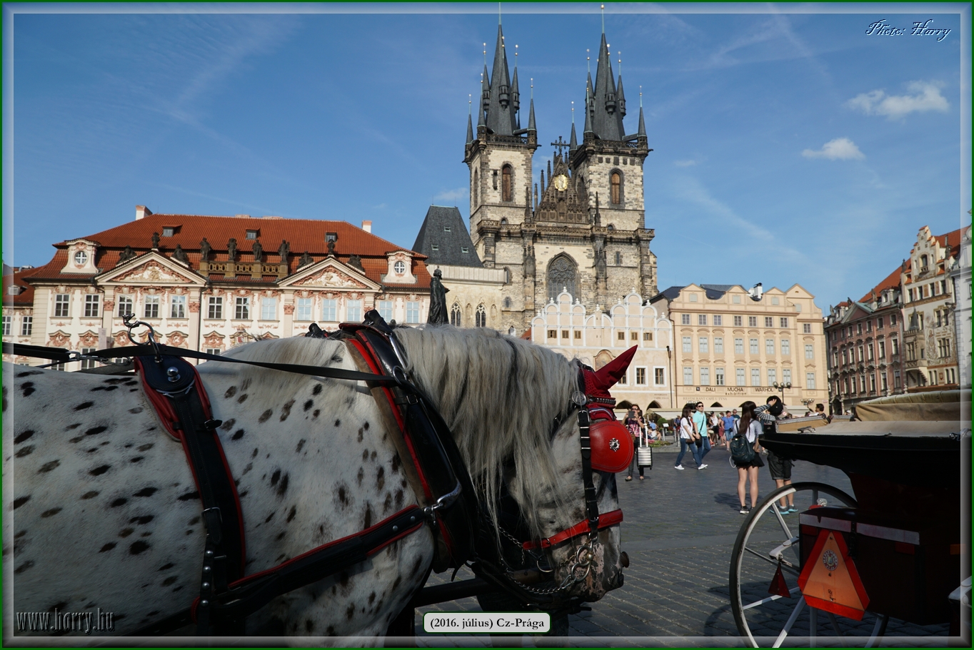(2016.julius)Praga-399.jpg
