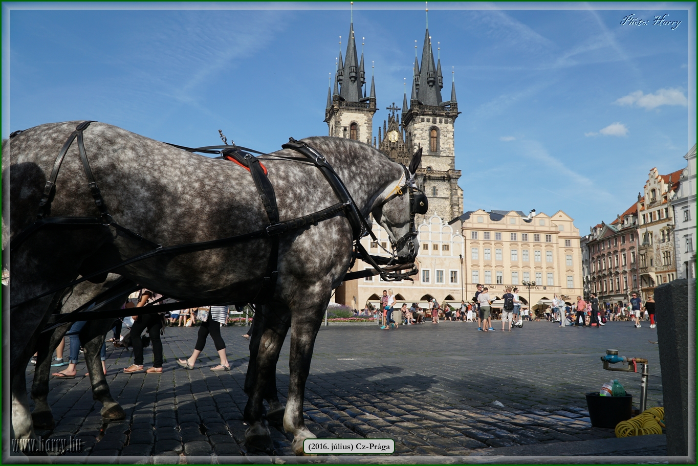 (2016.julius)Praga-400.jpg