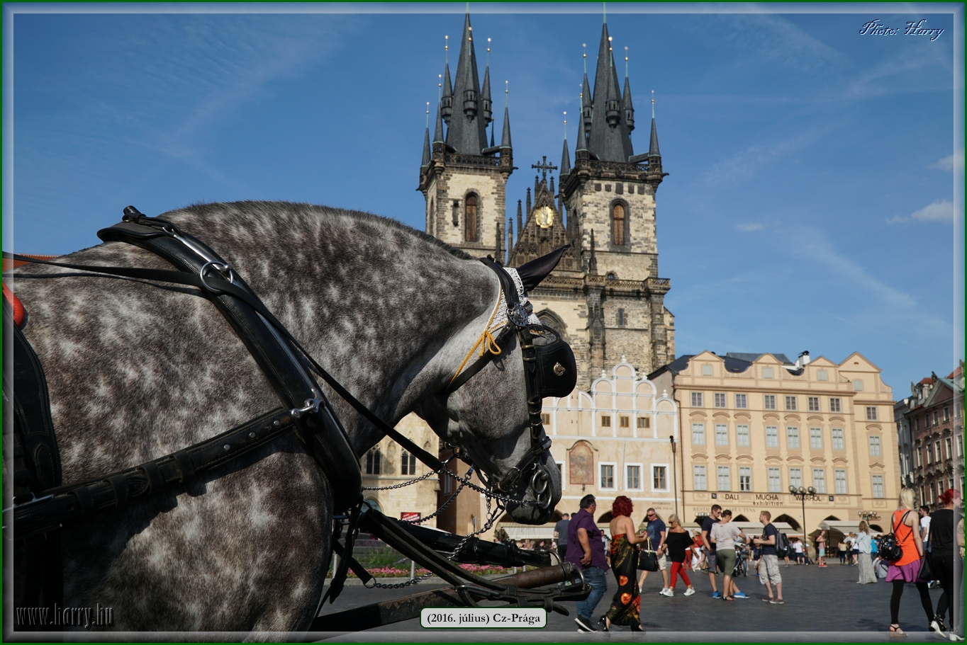 (2016.julius)Praga-401.jpg
