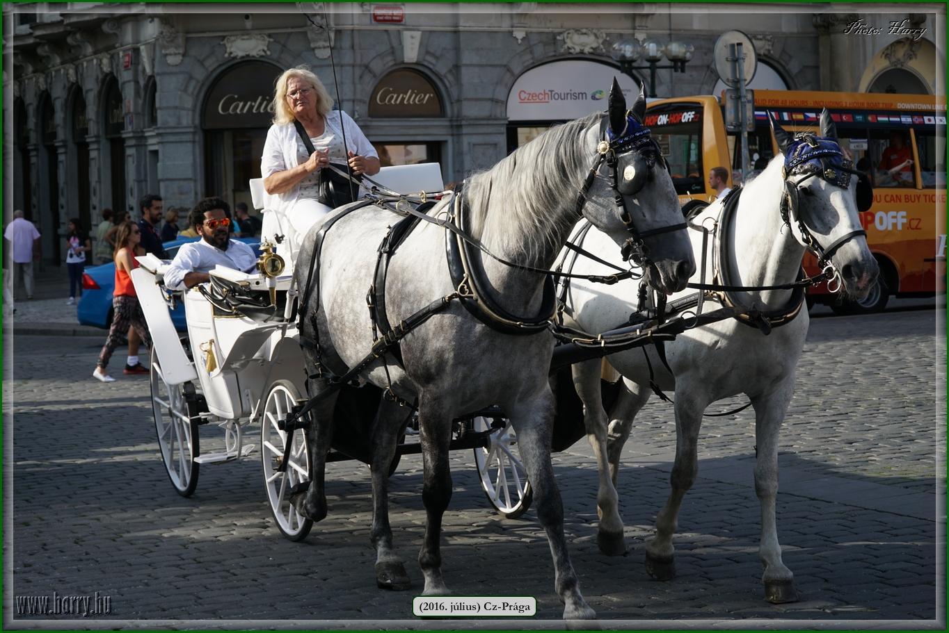 (2016.julius)Praga-409.jpg