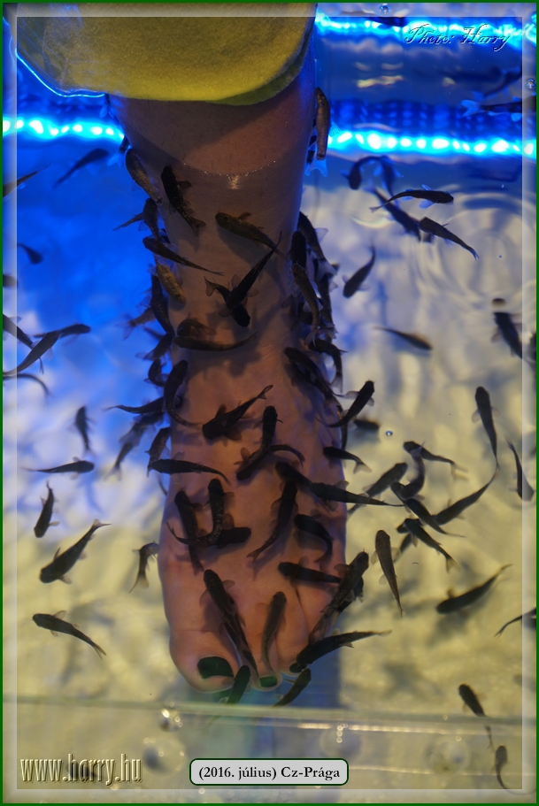 (2016.julius)Praga-428.jpg