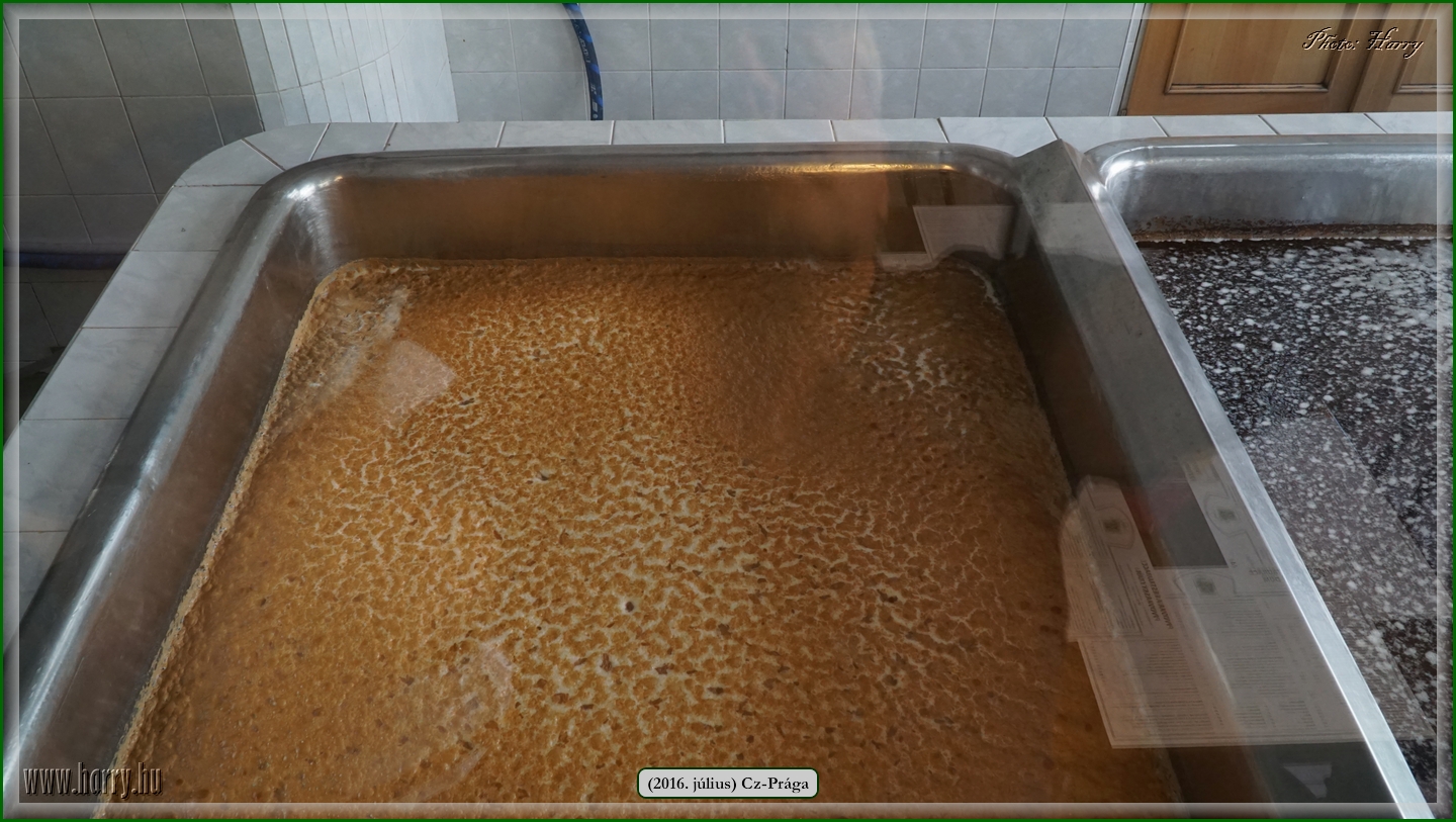 (2016.julius)Praga-470.jpg