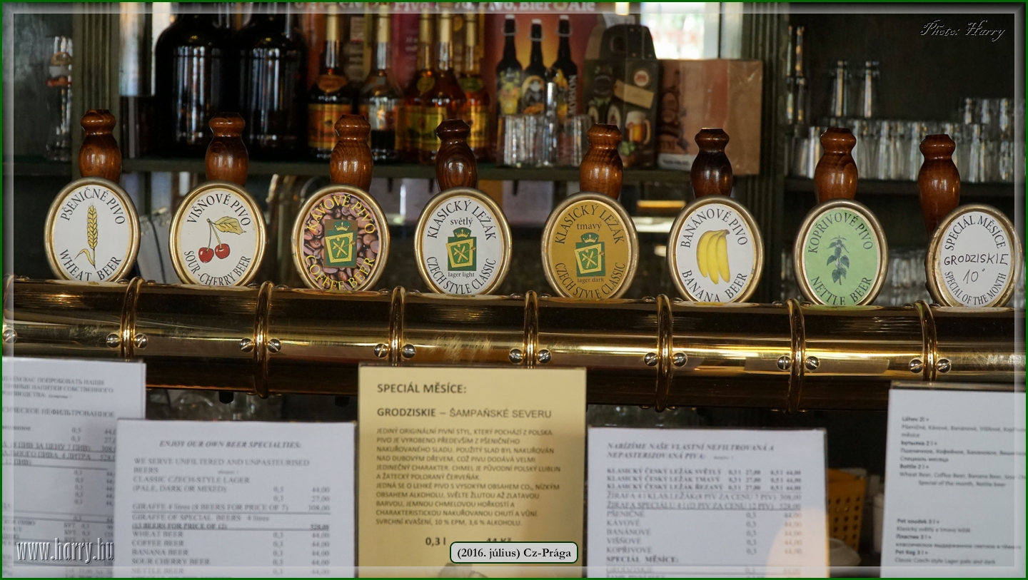 (2016.julius)Praga-478.jpg