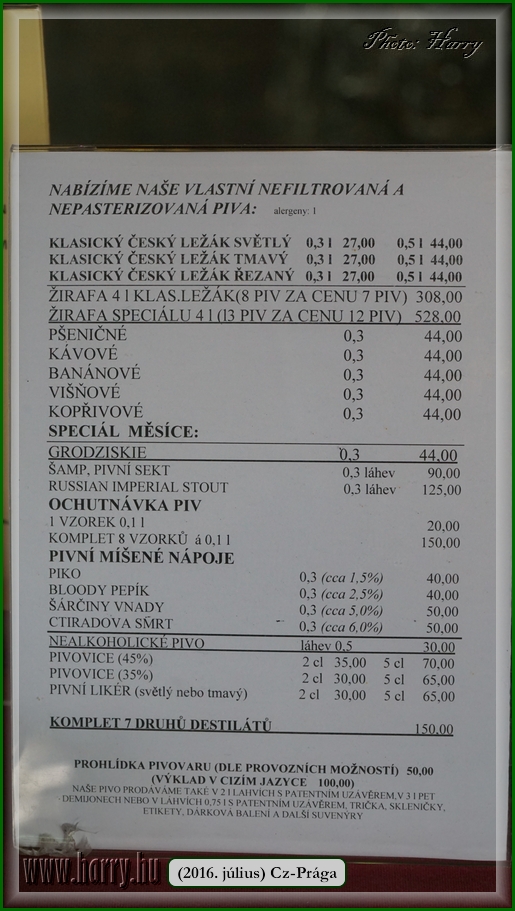 (2016.julius)Praga-479.jpg