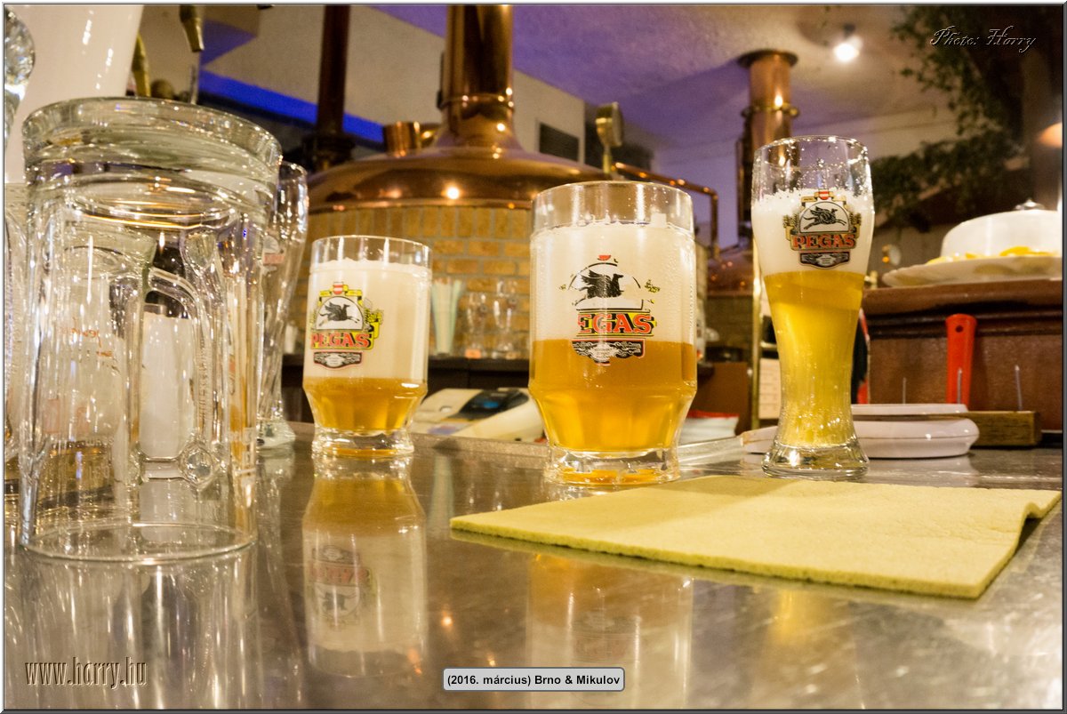 (2016.marcius)Brno-009.jpg