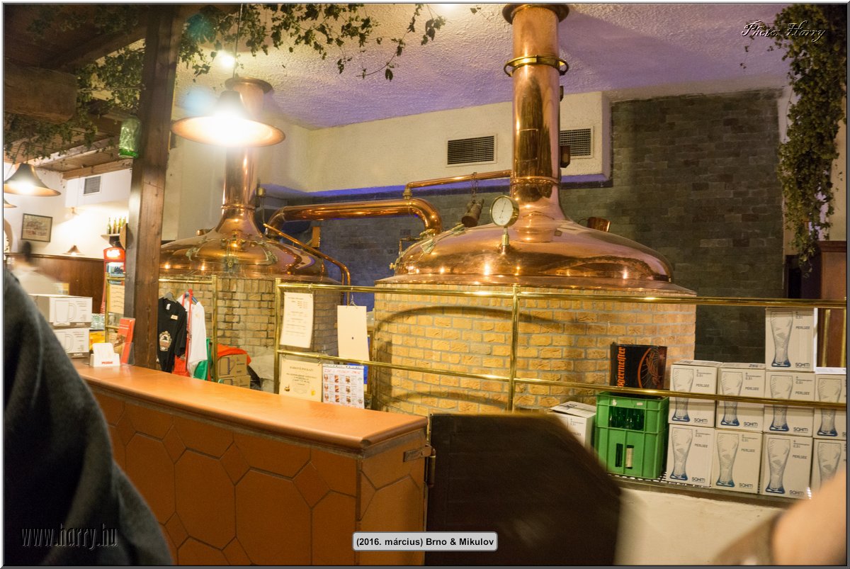 (2016.marcius)Brno-011.jpg