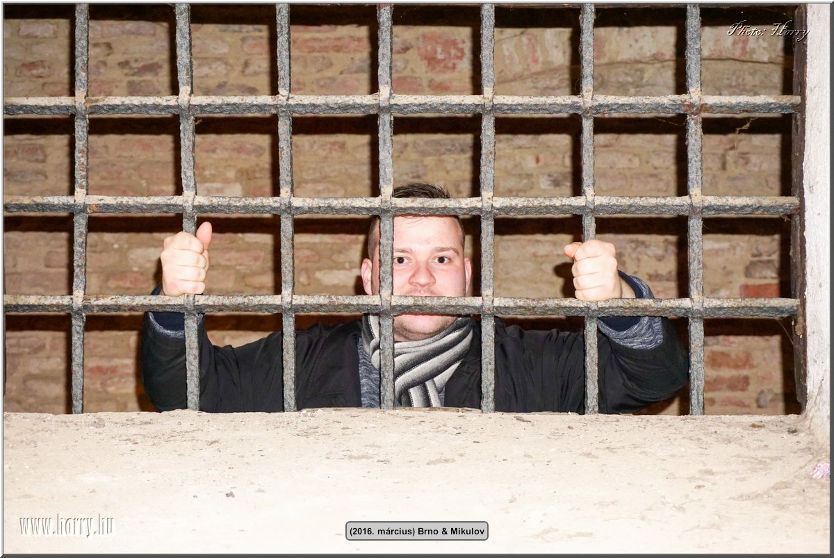 (2016.marcius)Brno-037.jpg