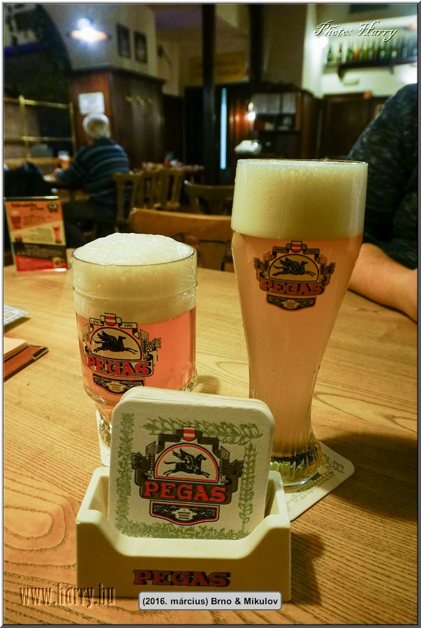 (2016.marcius)Brno-058.jpg