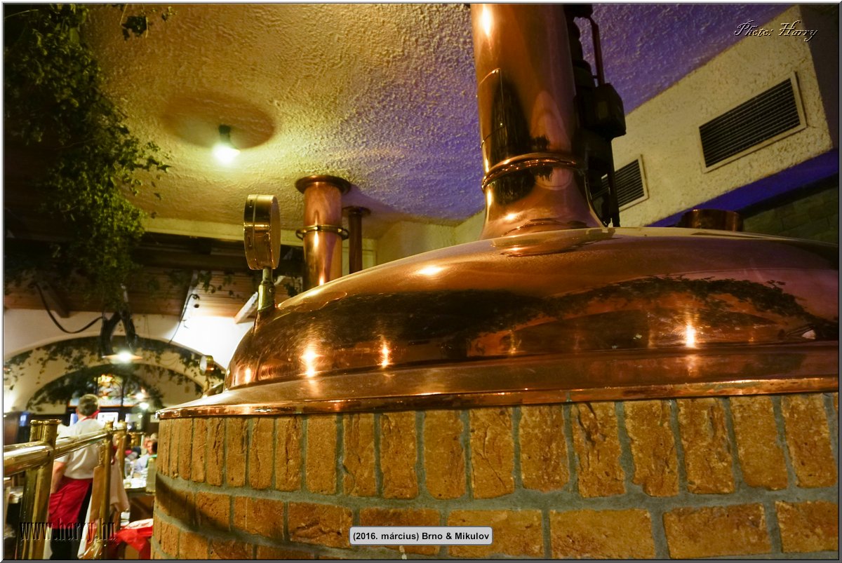 (2016.marcius)Brno-061.jpg