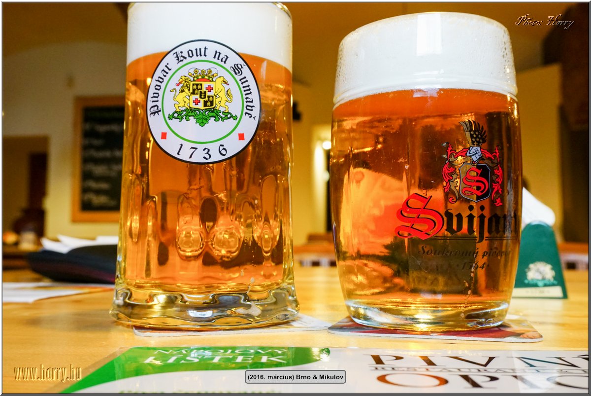 (2016.marcius)Brno-070.jpg