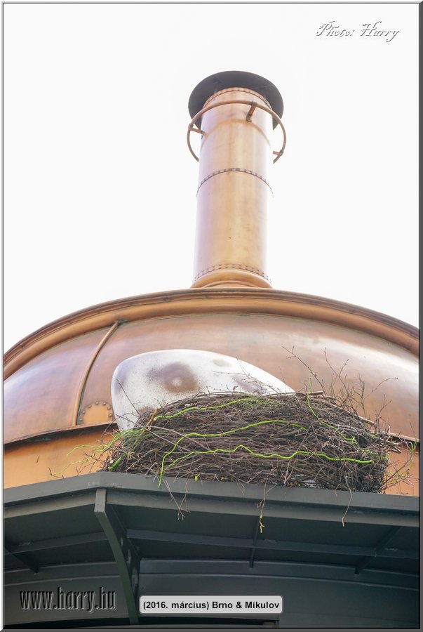 (2016.marcius)Brno-076.jpg