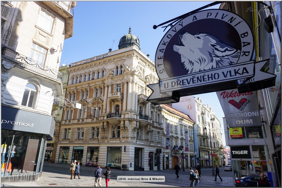 (2016.marcius)Brno-102.jpg