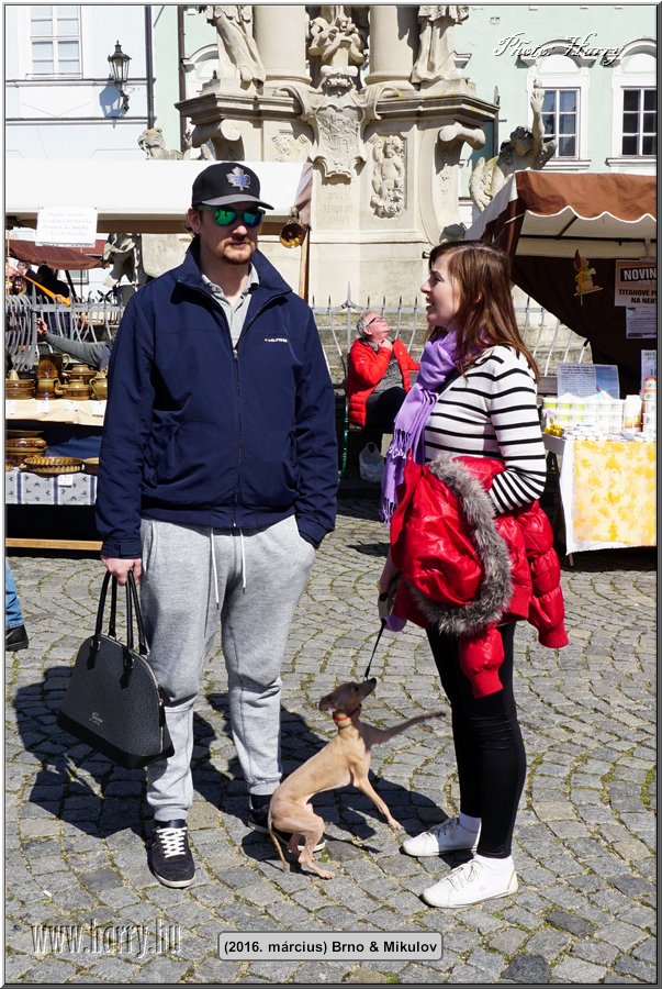 (2016.marcius)Brno-137.jpg