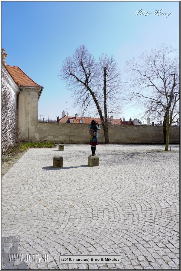 (2016.marcius)Brno-153.jpg