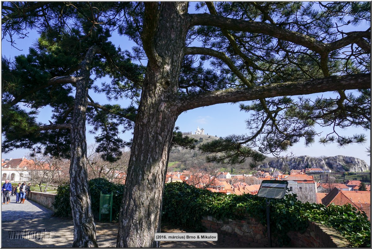 (2016.marcius)Brno-157.jpg