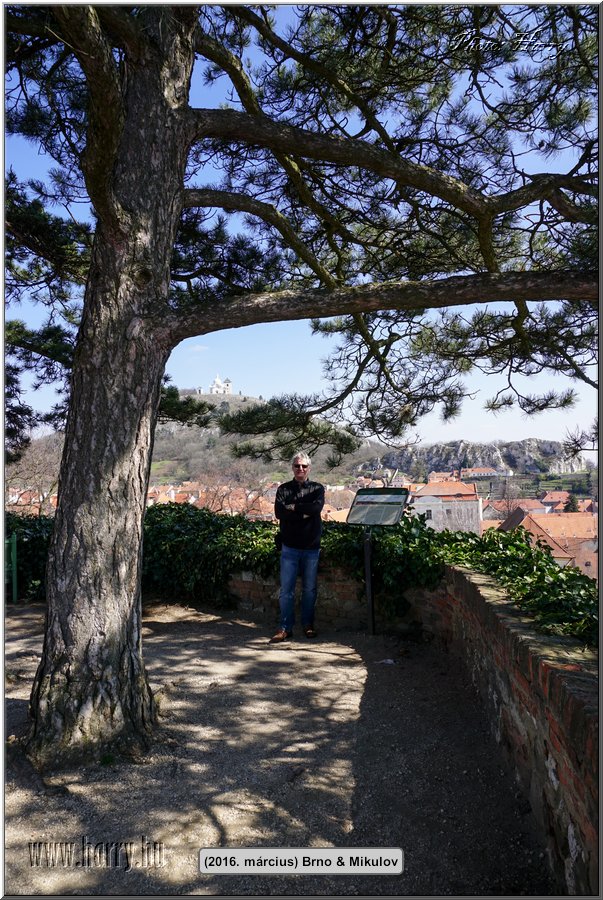 (2016.marcius)Brno-158.jpg