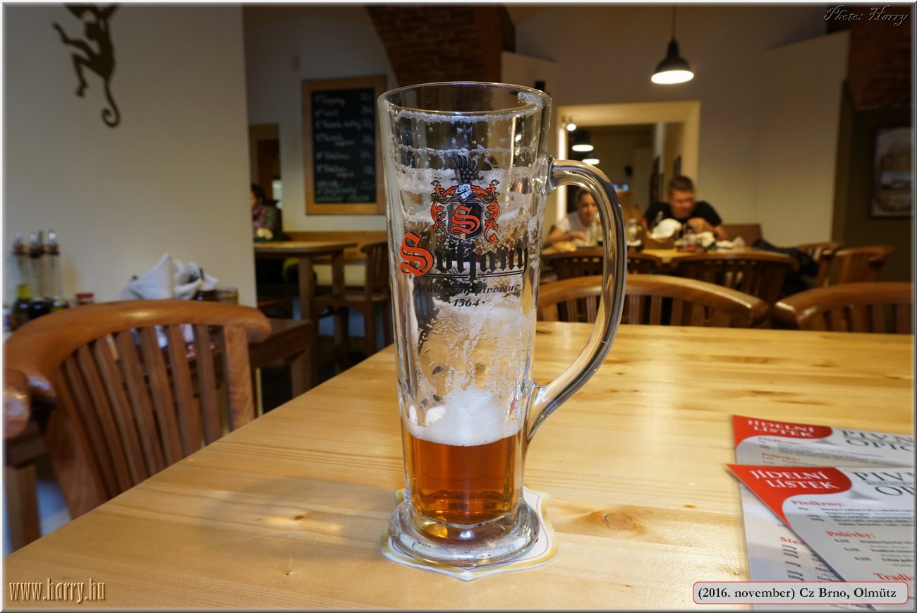 (2016.november)Cz-Olmutz-Brno179.jpg