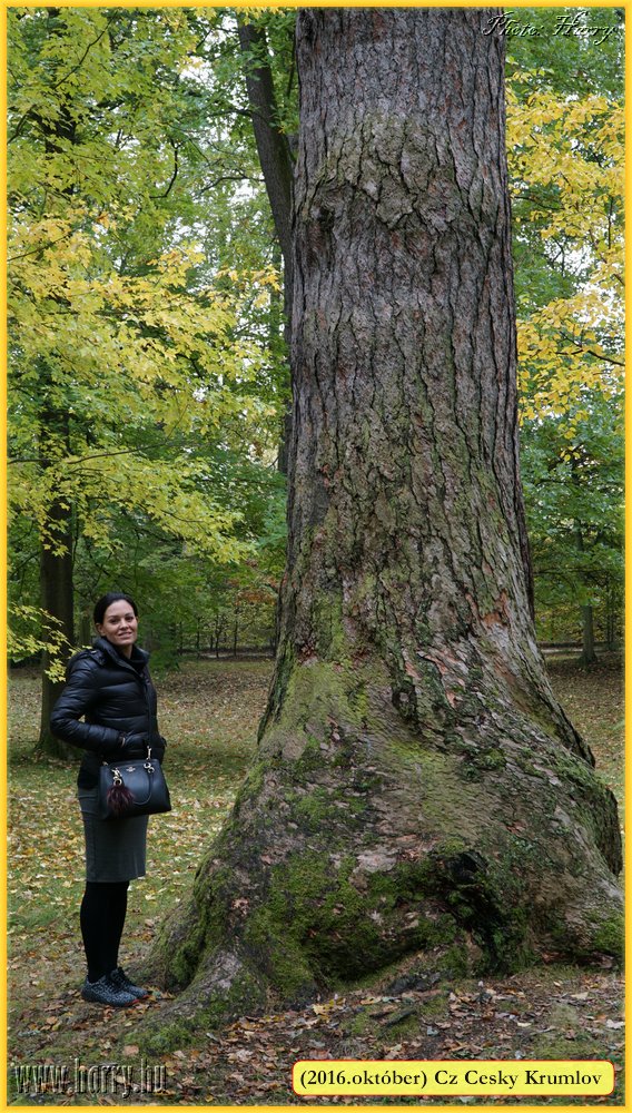 (2016.oktober)Cz-Cesky_Krumlov-117.jpg