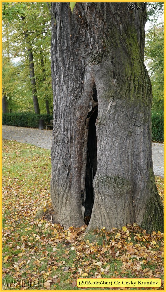 (2016.oktober)Cz-Cesky_Krumlov-118.jpg