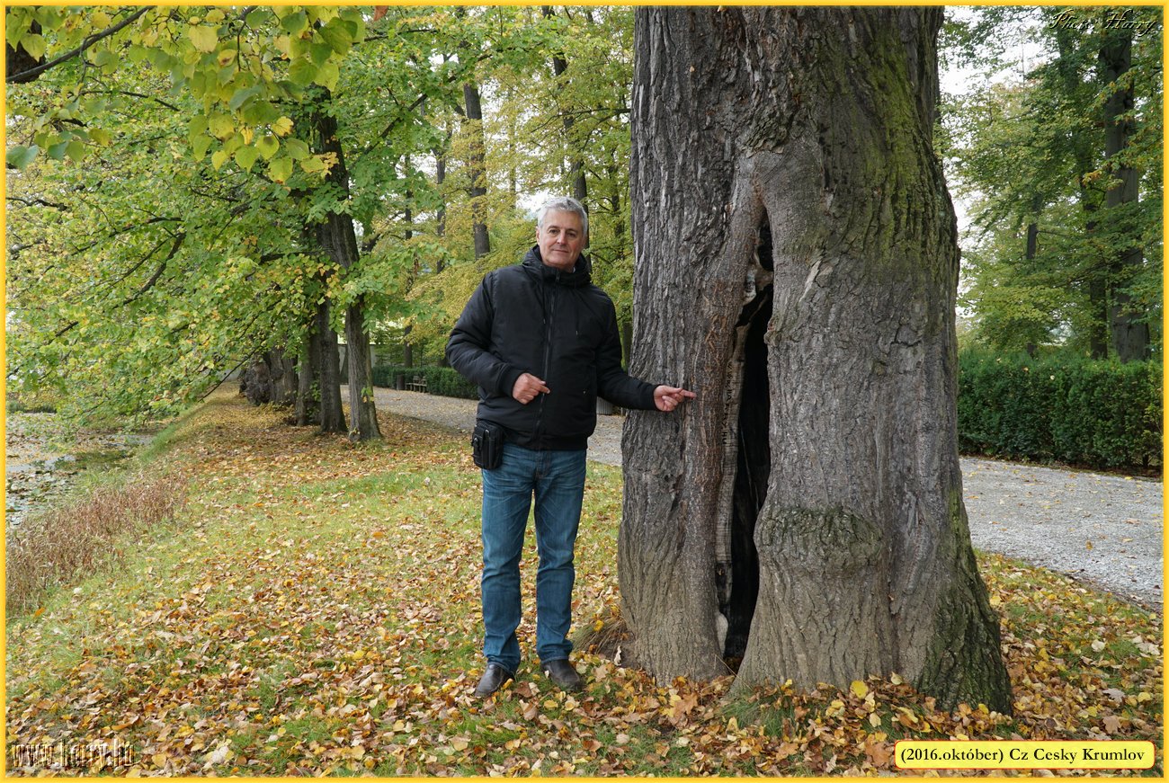 (2016.oktober)Cz-Cesky_Krumlov-120.jpg