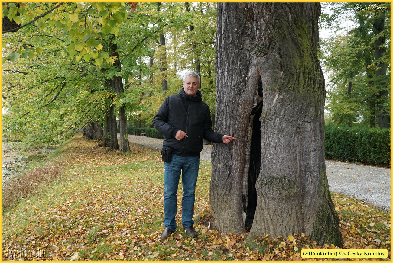 (2016.oktober)Cz-Cesky_Krumlov-121.jpg