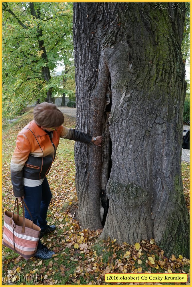 (2016.oktober)Cz-Cesky_Krumlov-123.jpg