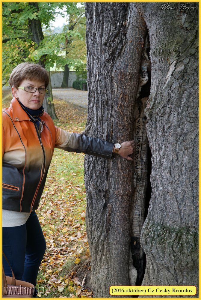 (2016.oktober)Cz-Cesky_Krumlov-124.jpg