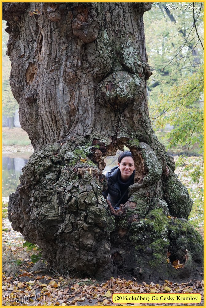 (2016.oktober)Cz-Cesky_Krumlov-126.jpg
