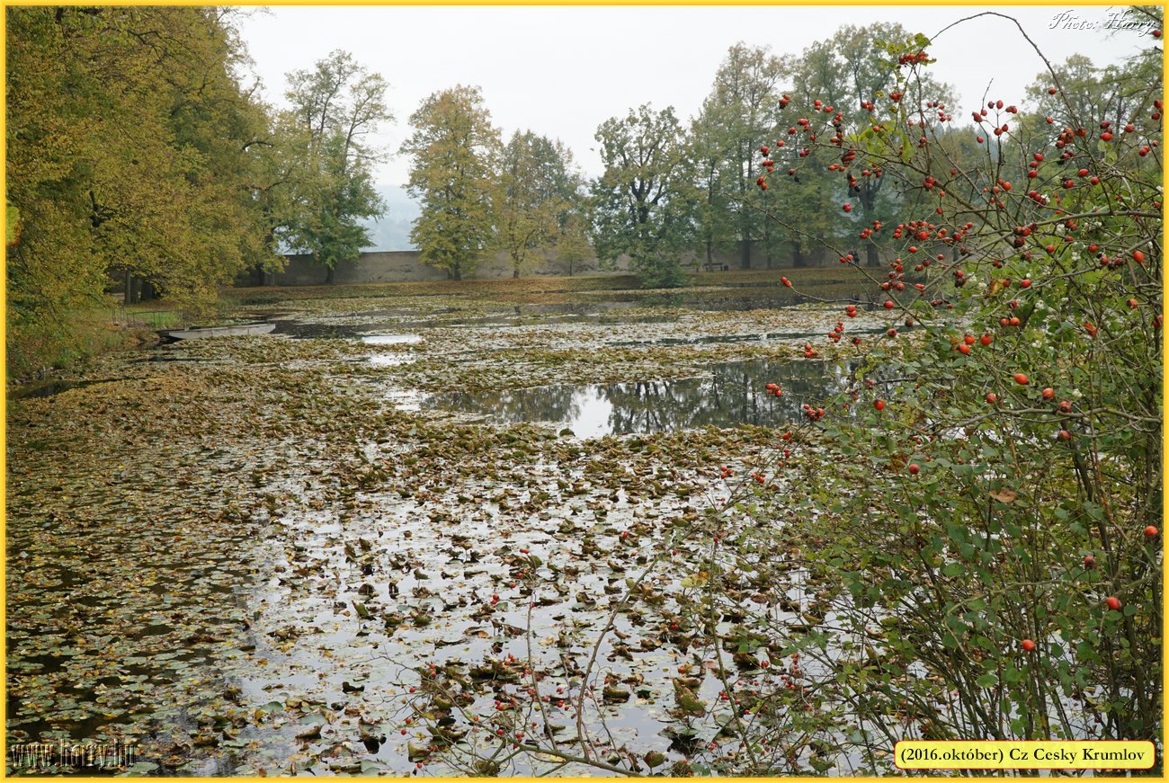 (2016.oktober)Cz-Cesky_Krumlov-129.jpg
