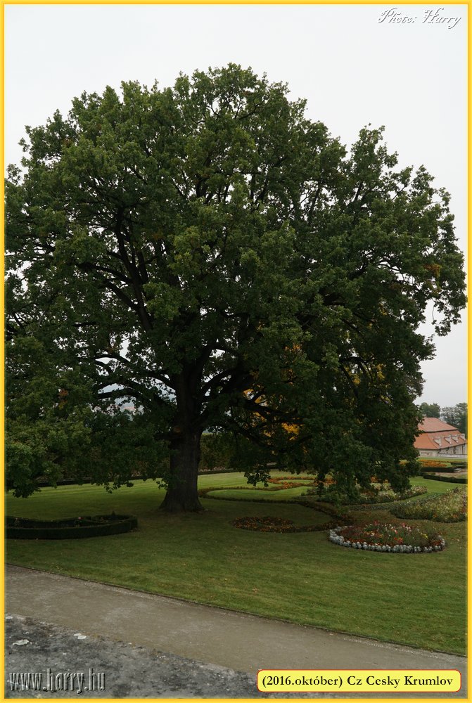 (2016.oktober)Cz-Cesky_Krumlov-135.jpg