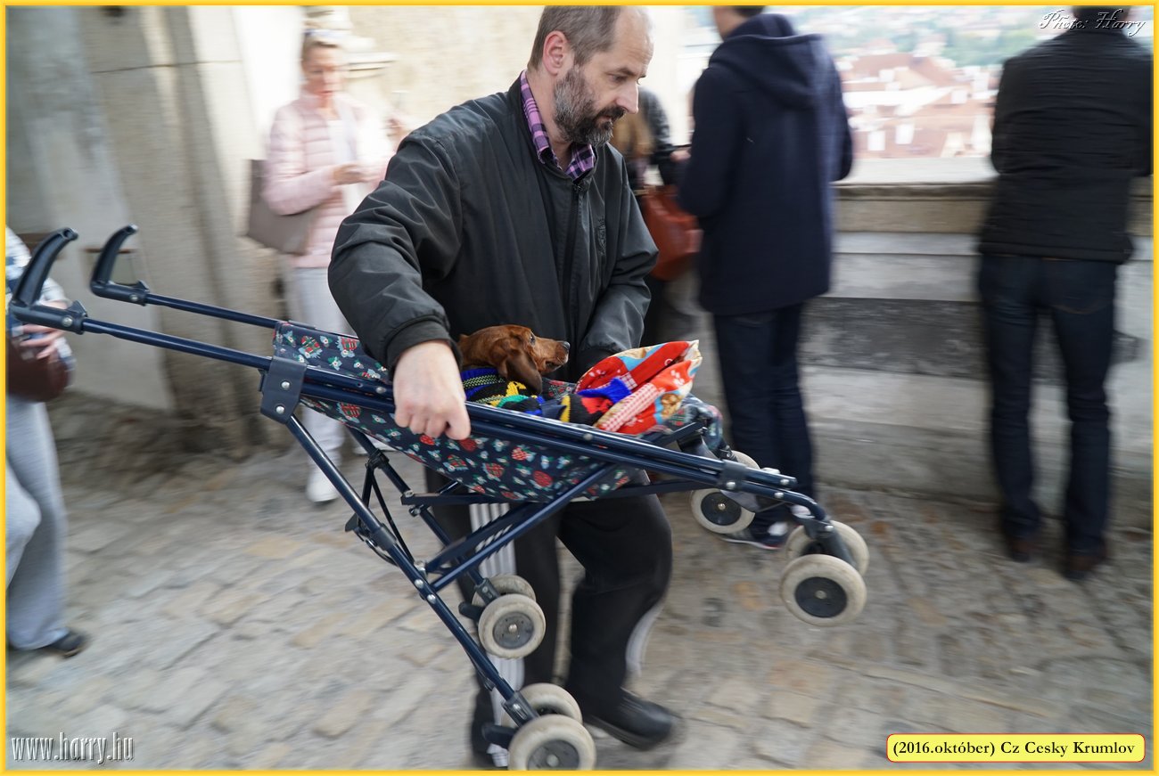 (2016.oktober)Cz-Cesky_Krumlov-350.jpg