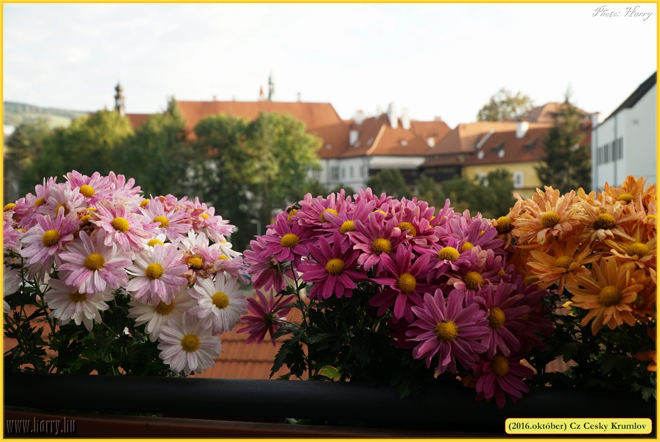 (2016.oktober)Cz-Cesky_Krumlov-395.jpg