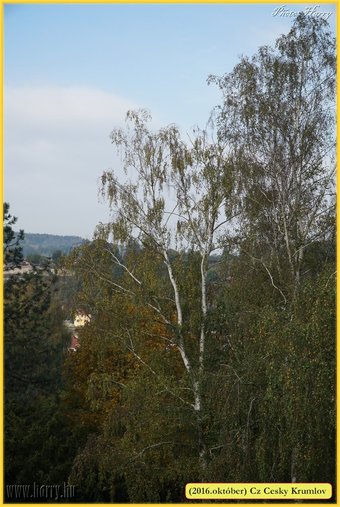 (2016.oktober)Cz-Cesky_Krumlov-438.jpg
