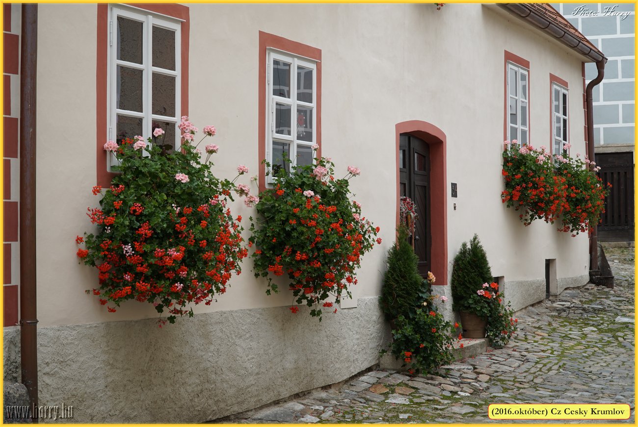 (2016.oktober)Cz-Cesky_Krumlov-503.jpg