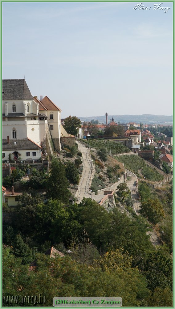 (2016.oktober)Cz-Znojmo-037.jpg