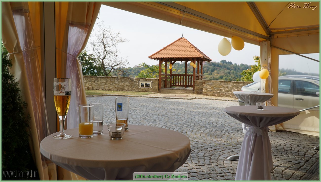(2016.oktober)Cz-Znojmo-046.jpg