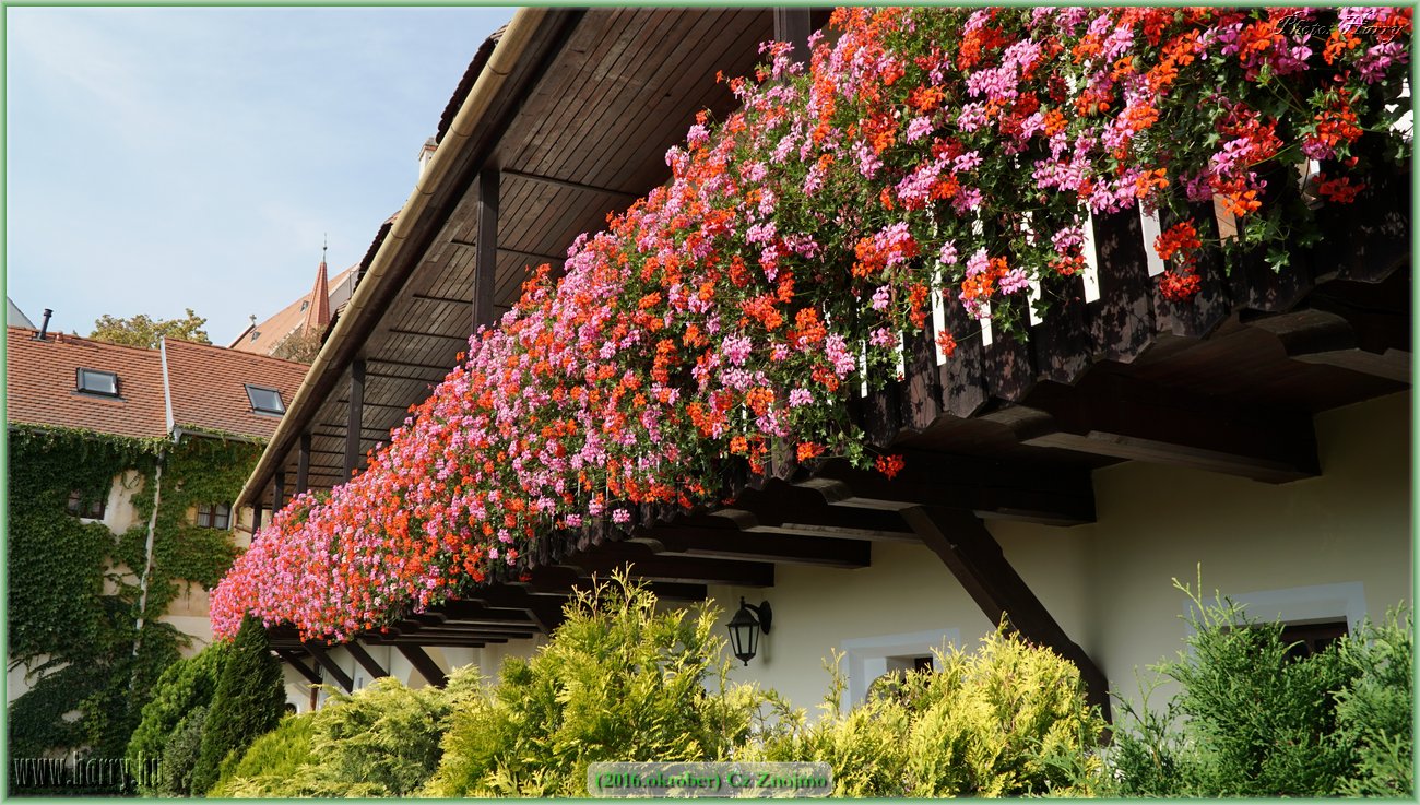 (2016.oktober)Cz-Znojmo-074.jpg