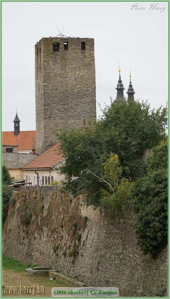 (2016.oktober)Cz-Znojmo-124.jpg
