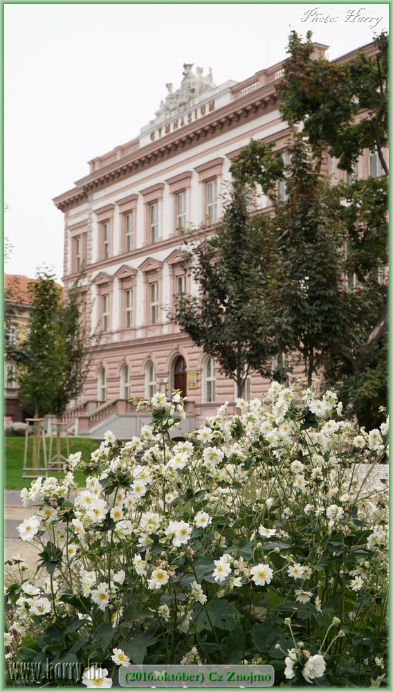 (2016.oktober)Cz-Znojmo-129.jpg