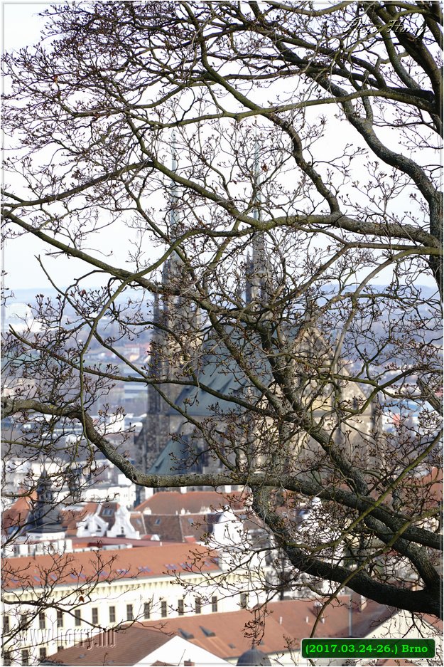 (2017.03.24-26.)Brno-044.jpg