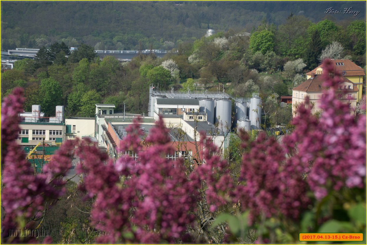 (2017.04.13-15.)Cz-Brno-12.jpg